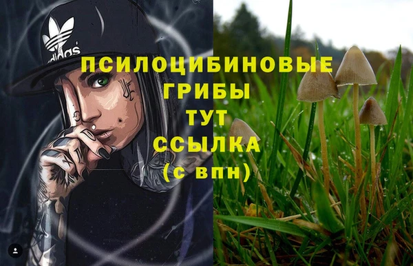 ALPHA PVP Абаза